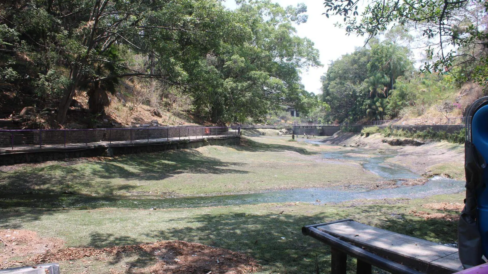 parque-chapultepec-cortesia (1)